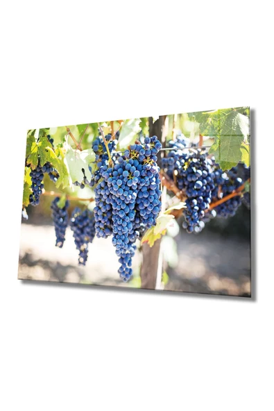 Meyveler Dekoratif ve Modern Cam Tablo 4mm Dayanıklı Temperli Cam ürün görseli