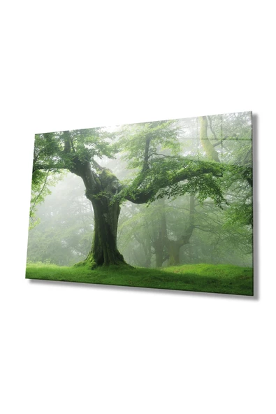 Yeşil Ağaç Dekoratif ve Modern Cam Tablo, Ev Ve Ofis Duvar Dekoru ürün görseli