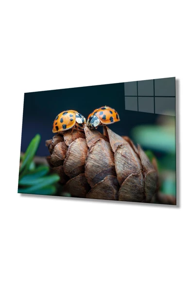 Uğur Böceği Ve Yaprak Dekoratif ve Modern Cam Tablo, Ev Ve Ofis Duvar Dekoru,  Büyük Temperli 4 Mm Dekoratif ve Modern Cam Tablo
