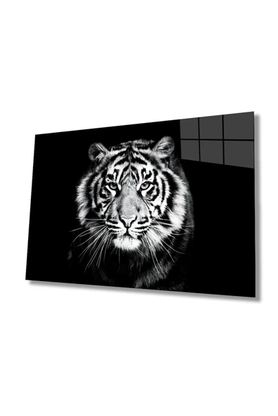 Kaplan 3 Hayvan Dekoratif ve Modern Cam Tablo ürün görseli