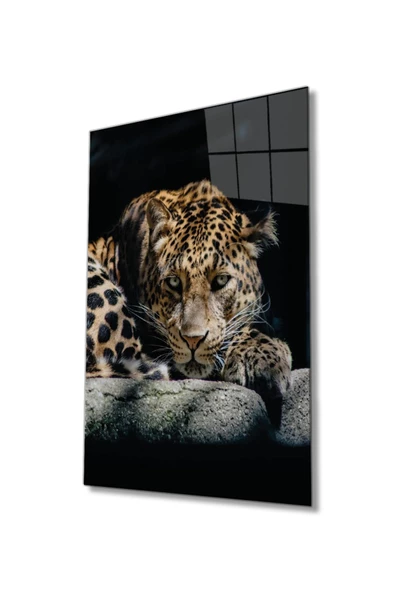 Kaplan Hayvan Portresi Dekoratif ve Modern Cam Tablo, Ev Ve Ofis Duvar Dekoru, ürün görseli