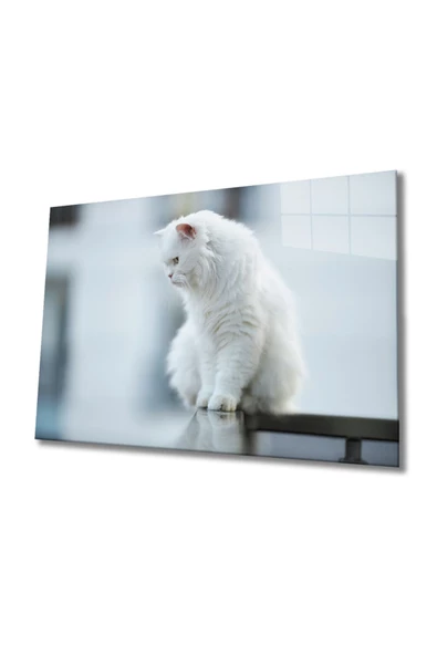 Beyaz Kedi Dekoratif ve Modern Cam Tablo