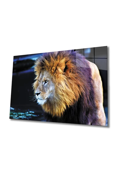 Aslan 2 Dekoratif ve Modern Cam Tablo