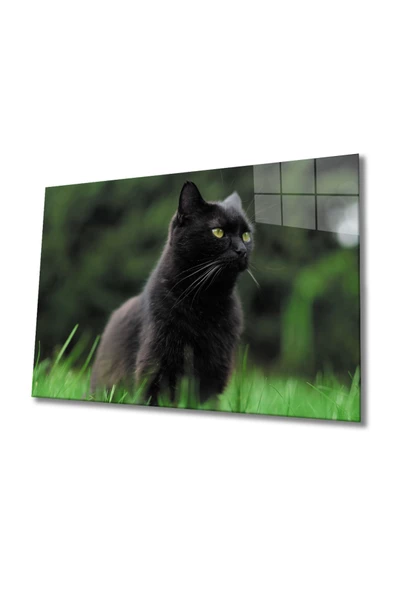 Kedi 2 Dekoratif ve Modern Cam Tablo