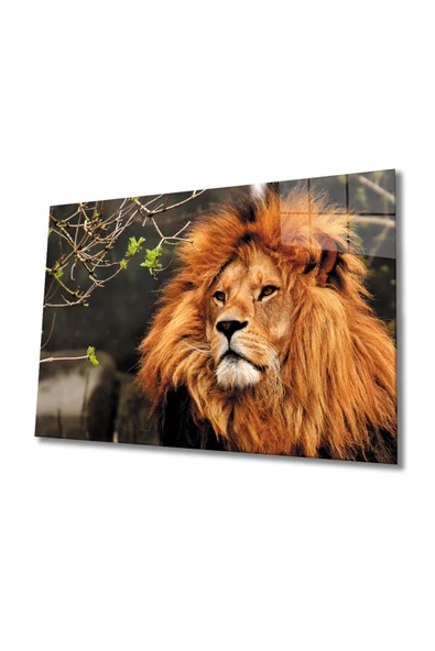 Aslan 3 Dekoratif ve Modern Cam Tablo ürün görseli