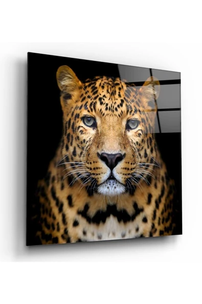Leopar Dekoratif ve Modern Cam Tablo