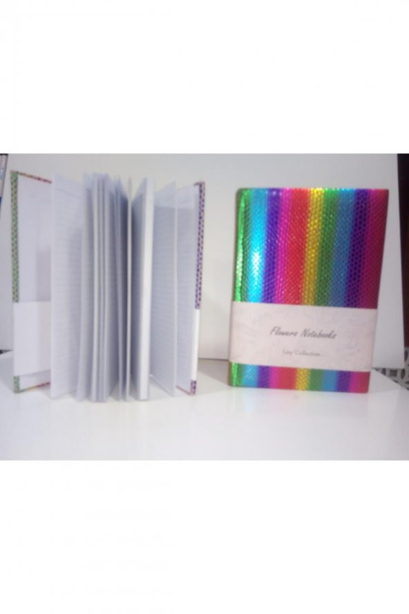 Liz Defter Rainbow Suni Deri 17x24 168 YP Çizgili - 2