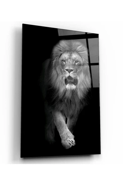 Aslan Dekoratif ve Modern Cam Tablo