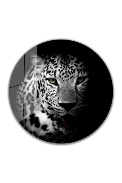 Kaplan Yuvarlak Dekoratif ve Modern Cam Tablo 4mm Dayanıklı Temperli Cam ürün görseli