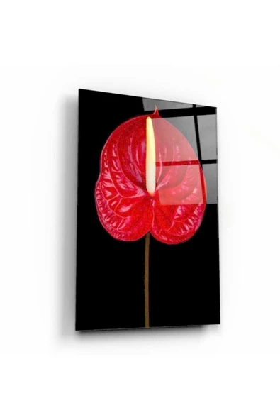 Çiçek Dekoratif ve Modern Cam Tablo ürün görseli