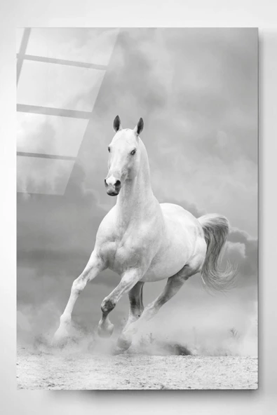 White Horse Dekoratif ve Modern Cam Tablo ürün görseli 1