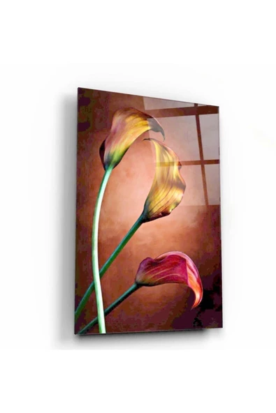 Çiçek Dekoratif ve Modern Cam Tablo