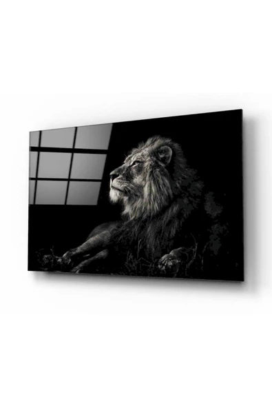 Aslan Dekoratif ve Modern Cam Tablo
