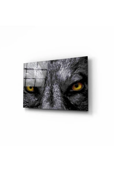 Hayvan Dekoratif ve Modern Cam Tablo 50x70 Cm