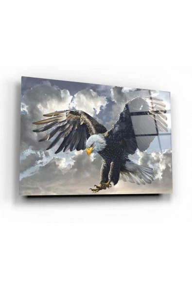 Kartal Dekoratif ve Modern Cam Tablo ürün görseli