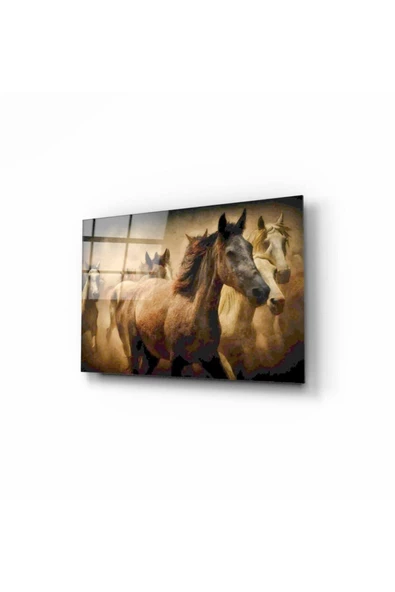 Atlar Dekoratif ve Modern Cam Tablo 50x70 Cm