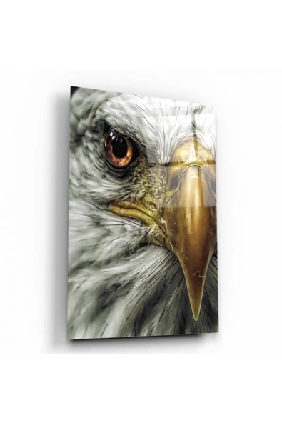 Kartal Dekoratif ve Modern Cam Tablo ürün görseli