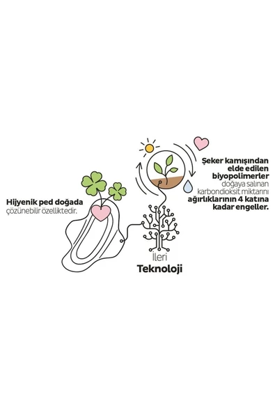 Sleepy Ecologic Premium Plus Günlük Ped Uzun 32'li - 4