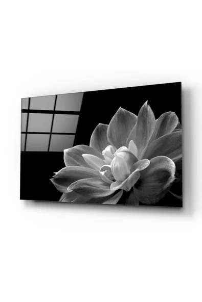 Çiçek Dekoratif ve Modern Cam Tablo ürün görseli