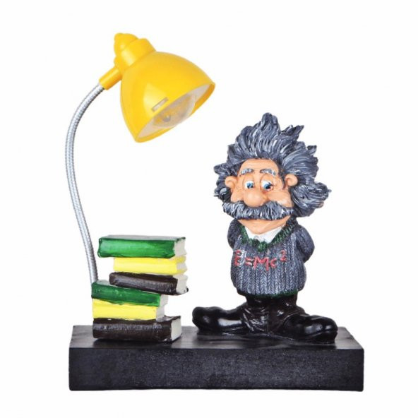 Einstein 2 Li Set Einstein Büyük Boy Yastık Einstein Lamba - 4