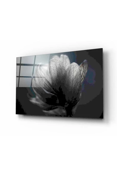 Siyah Çiçek Dekoratif ve Modern Cam Tablo
