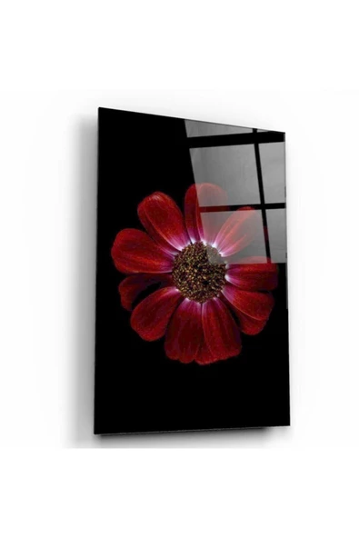 Kırmızı Papatya Dekoratif ve Modern Cam Tablo ürün görseli