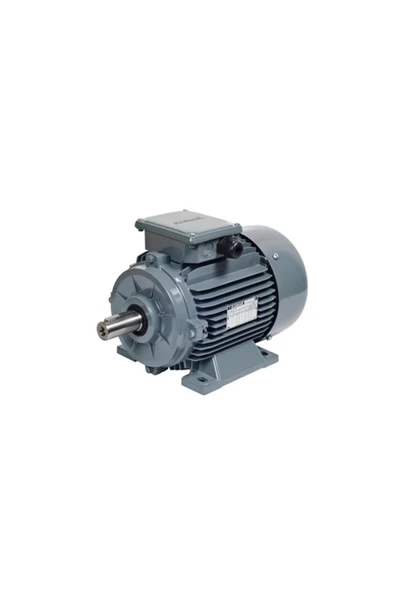 Gamak Motor 4 kW, 3000 devir, B3 Ayaklı