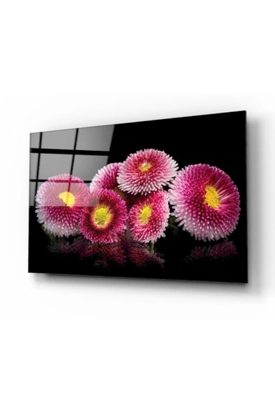 Çiçek Dekoratif ve Modern Cam Tablo