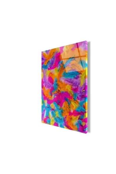 Renkli Tüylerin Uyumu Dekoratif ve Modern Cam Tablo 50x70 Cm