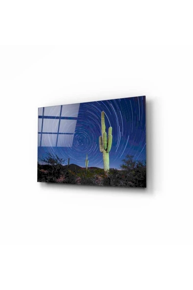 Kaktüs Dekoratif ve Modern Cam Tablo 50x70 Cm