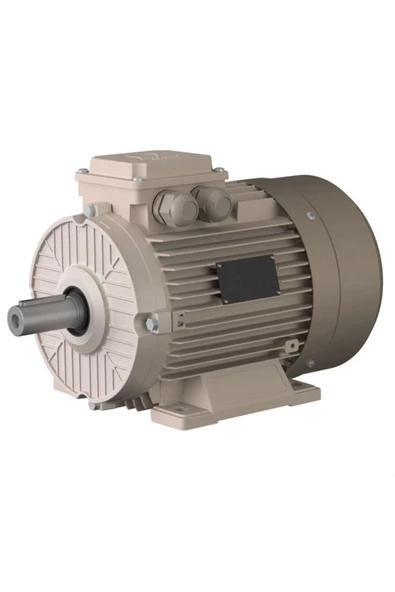 Omega Motor 5,5 Kw, 3000 Devir, B3 Ayaklı