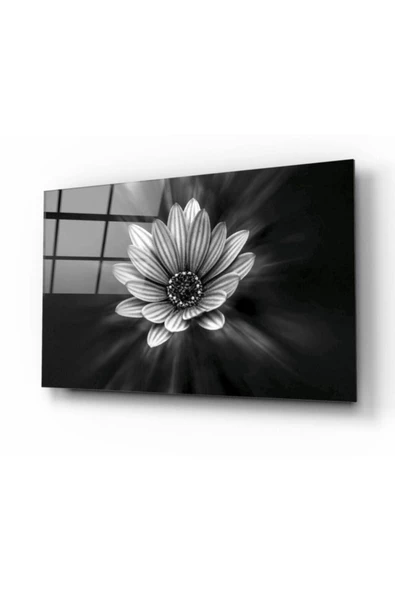 Çiçek Dekoratif ve Modern Cam Tablo ürün görseli