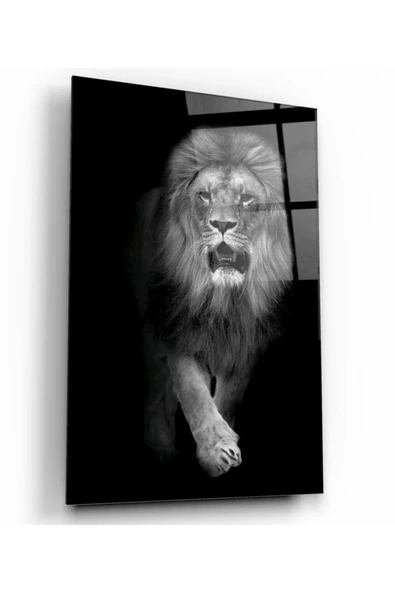 Aslan Dekoratif ve Modern Cam Tablo