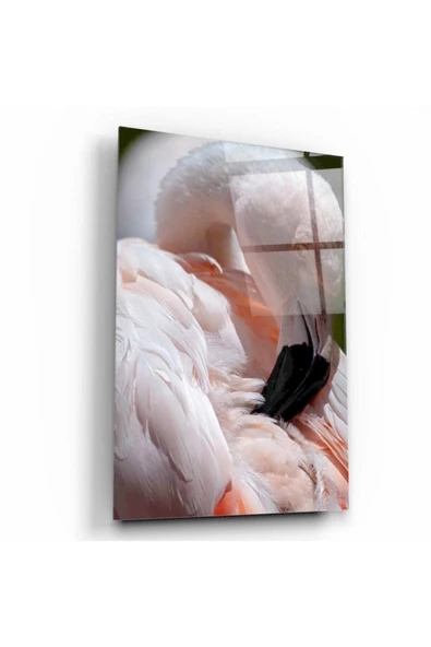 Flamingo Dekoratif ve Modern Cam Tablo ürün görseli