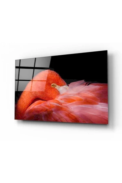 Kuş Dekoratif ve Modern Cam Tablo