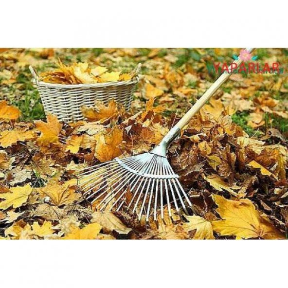 Yaprak Tırmığı Ayarlı Yaparlar Metal Tırmık +Sapı - 3