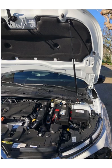 Citroen C4 KAPUT AMORTİSÖRÜ3 2020-2024 kaput amortisörü - 2