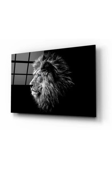 Aslan Dekoratif ve Modern Cam Tablo
