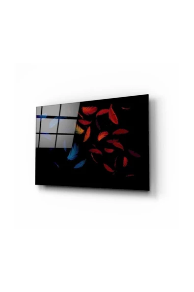Renkli Tüyler Dekoratif ve Modern Cam Tablo 2 50x70 Cm