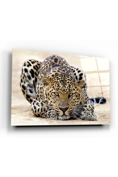 Leopar Dekoratif ve Modern Cam Tablo