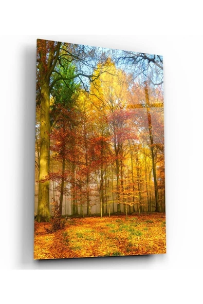 Orman Dekoratif ve Modern Cam Tablo ürün görseli 1