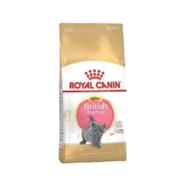 Royal Canin British Shorthair Kitten Yavru Kedi Maması 2 Kg