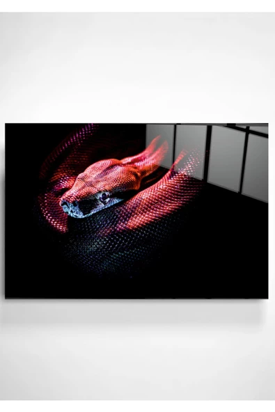 Yılan Dekoratif ve Modern Cam Tablo 60x90