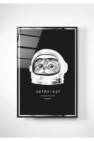 Digi-art Asrto-cat Dekoratif ve Modern Cam Tablo 50x70 ürün görseli