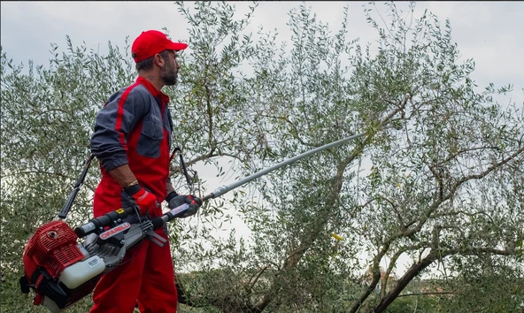 Cifarelli SC 605 Zeytin Silkeleme Makinesi - 2