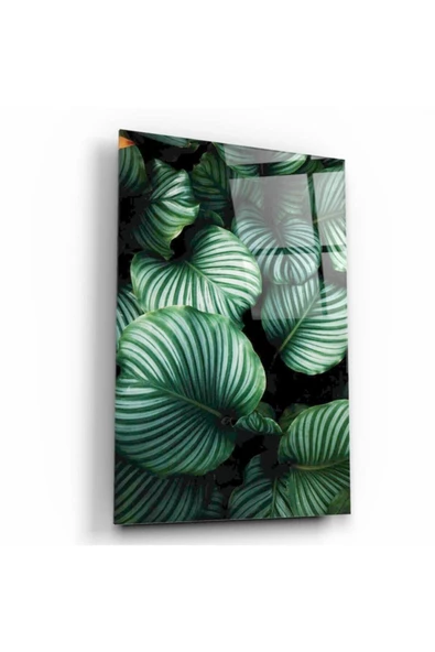 Vav Dekoratif ve Modern Cam Tablo 50x50 Cm