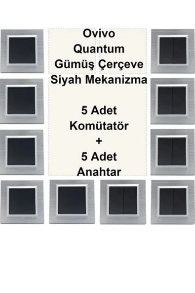 OVİVO Asyagrup Ovivo Quantum Gümüş Set ( komütatör,anahtar ) - Çerçeve Dahil