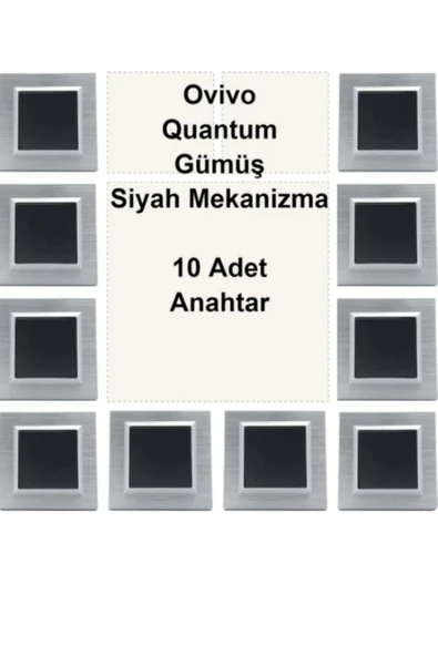 OVİVO Asyagrup Ovivo Quantum Gümüş Çerçeve,Siyah Anahtar - 10 Adet