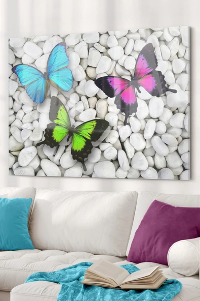 Renkli Kelebek| Hayvan Temalı Dekoratif ve Modern Cam Tablo | 50x70 Cm