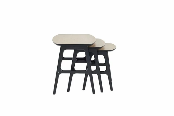 İSTİKBAL MARY ZİGON SEHPA - Resim 2